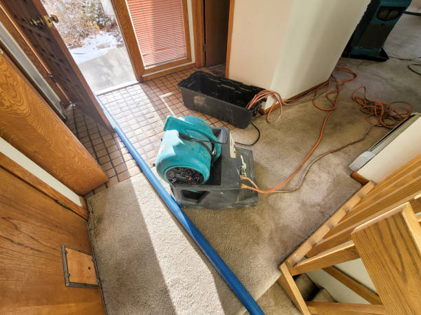 Best 24/7 water damage repair  in Dundas, MN