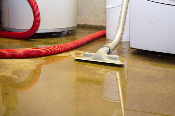 Best Water damage restoration experts  in Dundas, MN