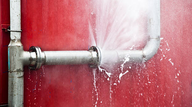 Best Professional water damage repair  in Dundas, MN